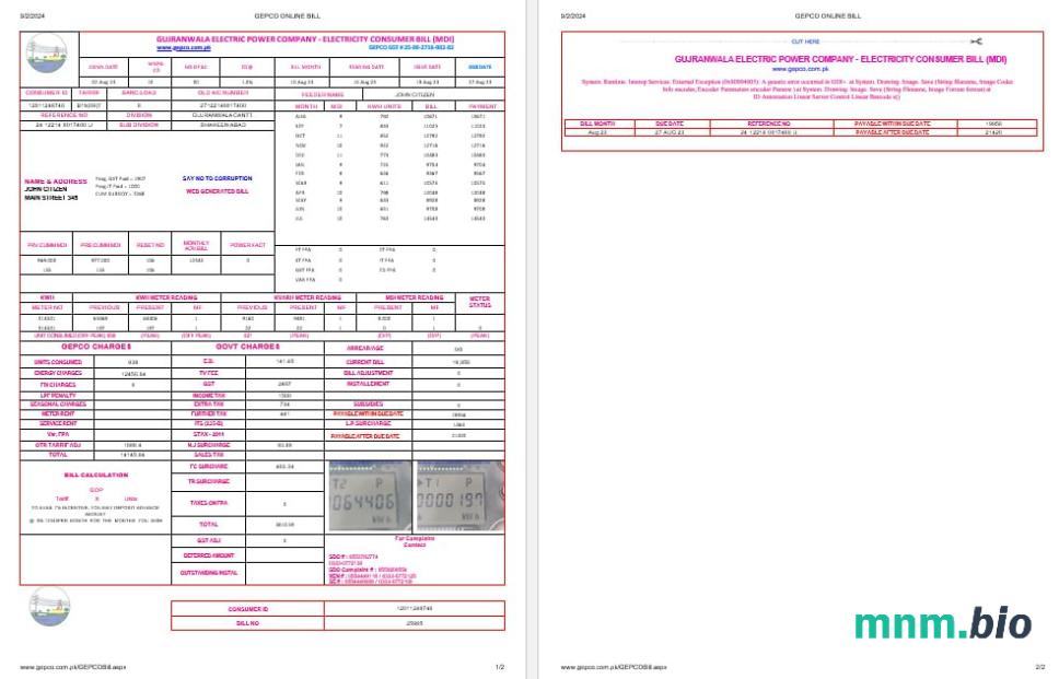 Pakistan Gujanwala Electric Power Firma elektryczność  pożytek rachunek Word i formaty PDF, 2 strony